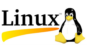 linux logo s