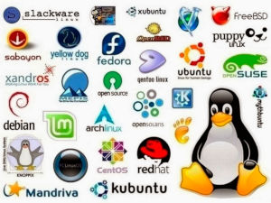linux s